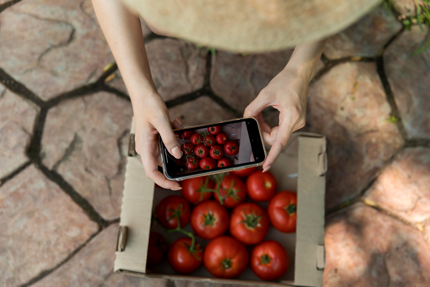 Sviluppo di reti commerciali per la valorizzazione dei prodotti locali
