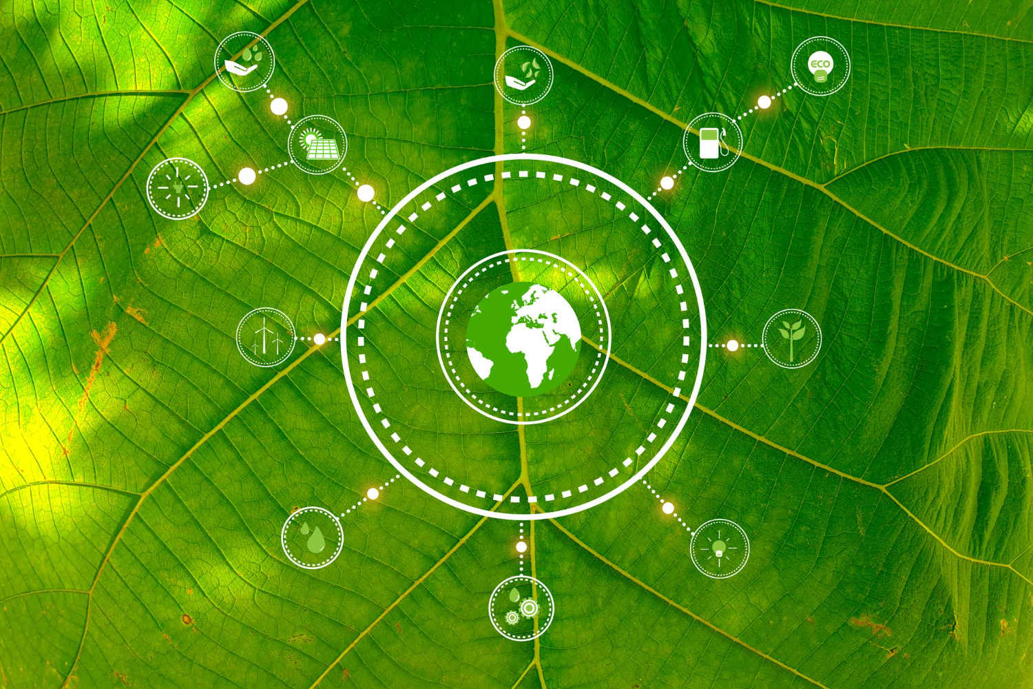 Formazione Gratuita in ambito Green & Digital