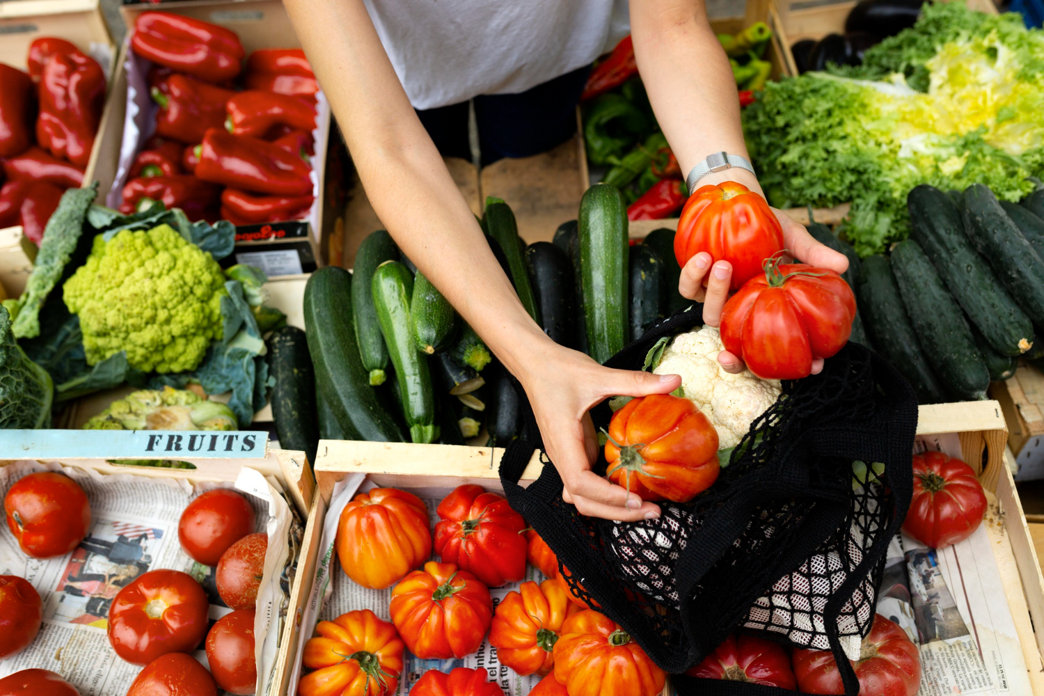 Aggiornamenti per il settore agroalimentare