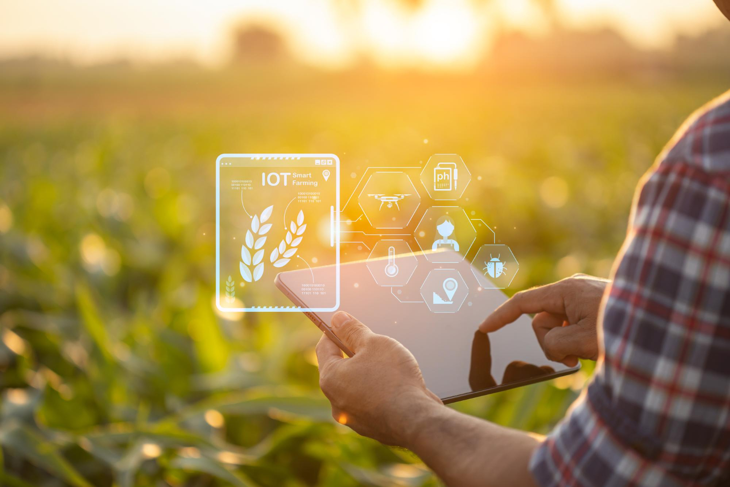 Produzione eco digitale di base per l’agroalimentare