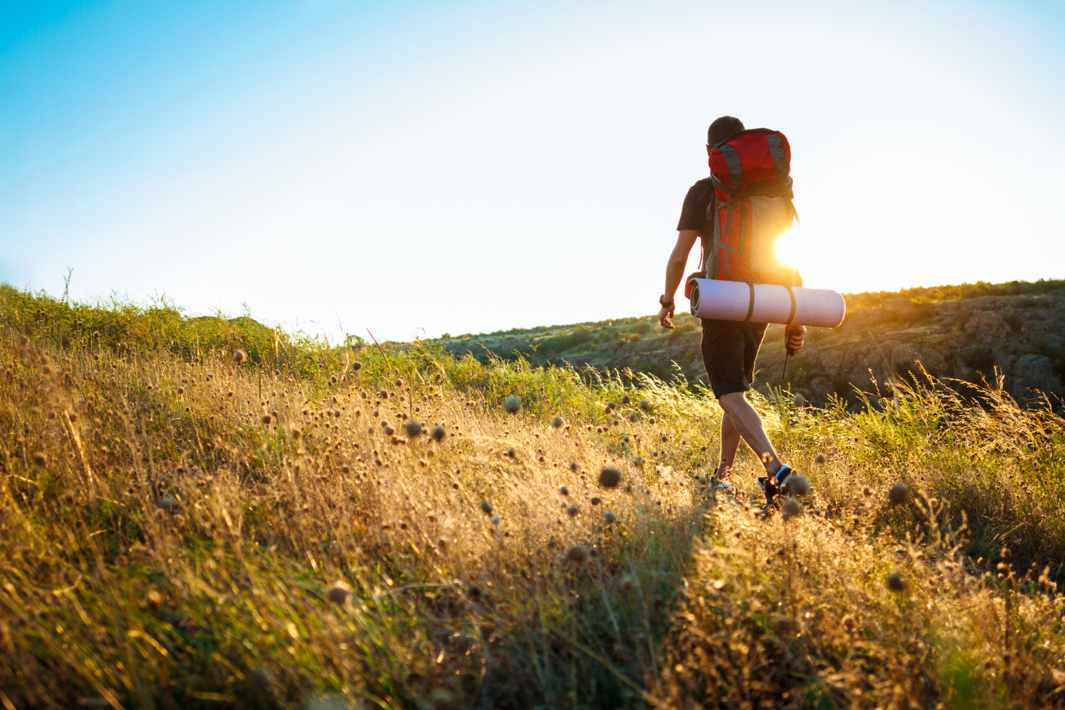 Turismo Sostenibile: Progetta Esperienze, Percorsi e Strutture Green