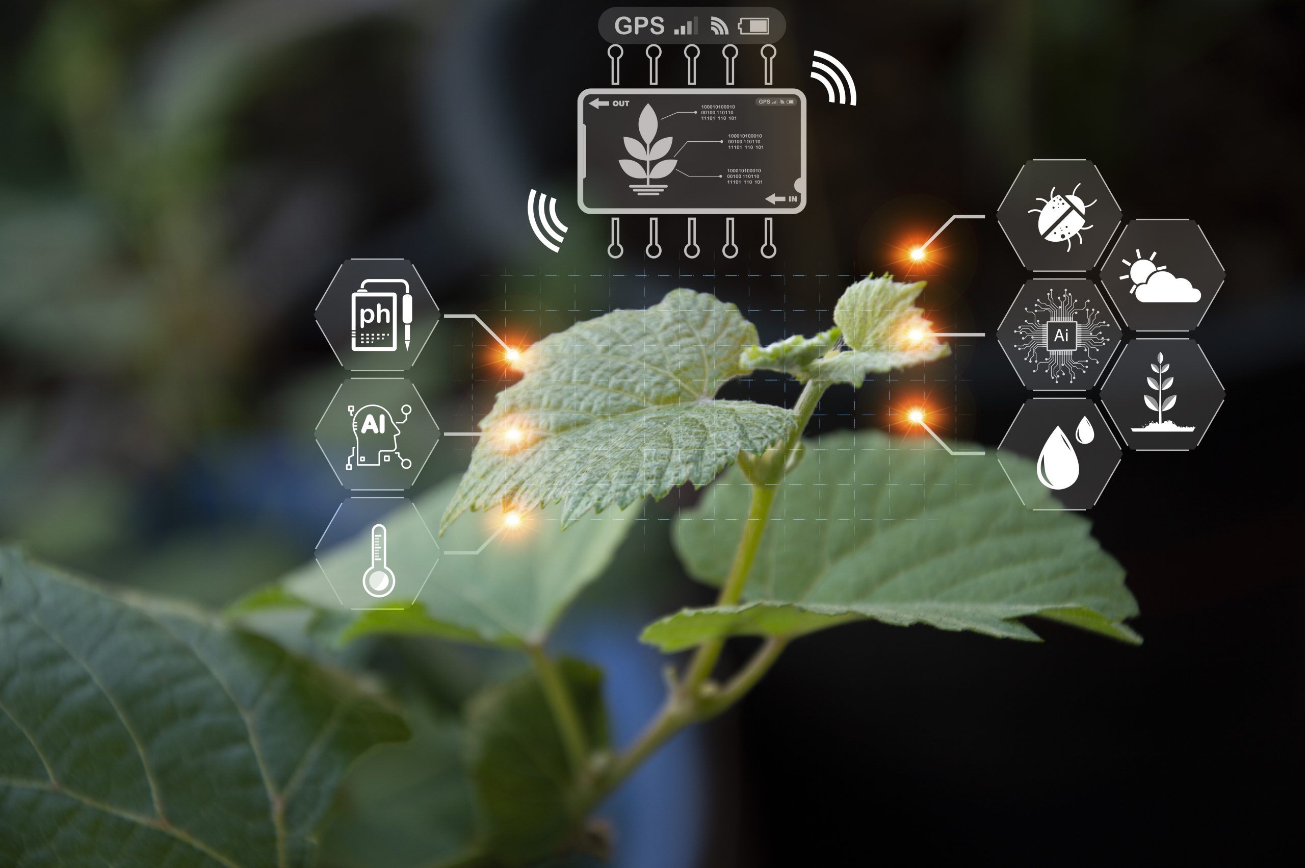 Processi intelligenti e circolari per l’agrifood di domani