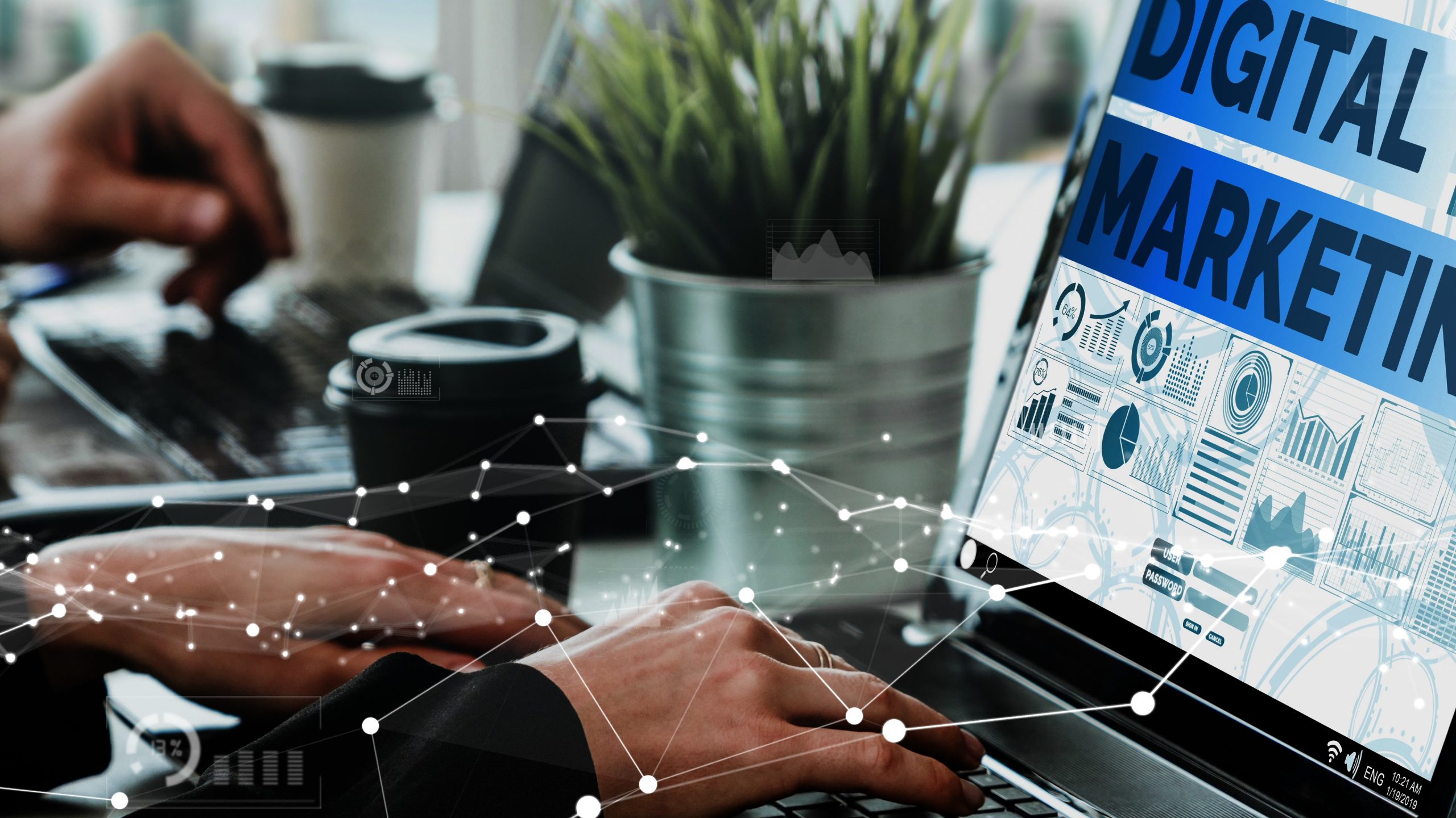 Introduzione al Marketing Digitale Sostenibile