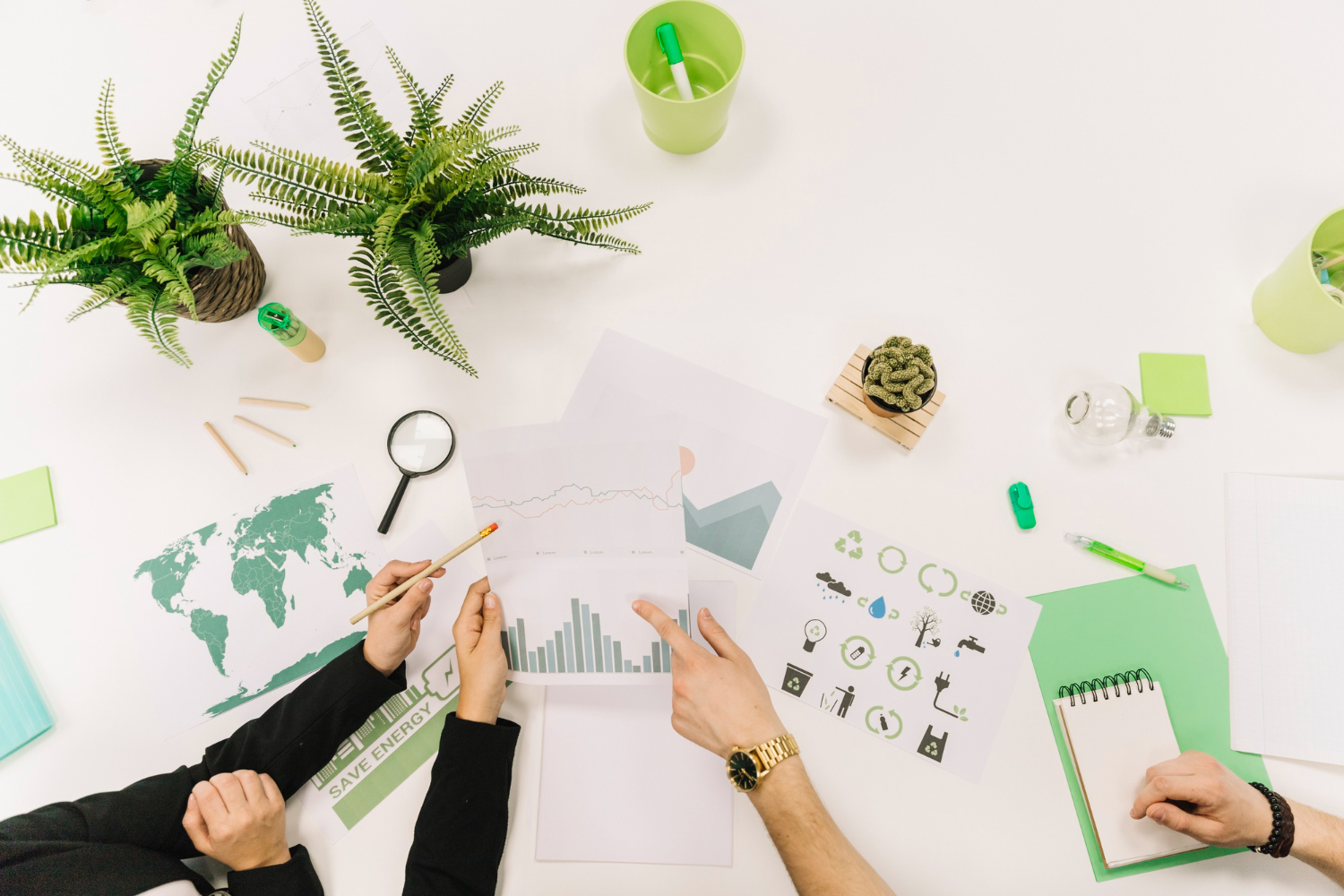 Servizi turistici sostenibili: eventi, promozione e comunicazione