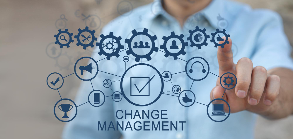 Innovazione Organizzativa e Change Management